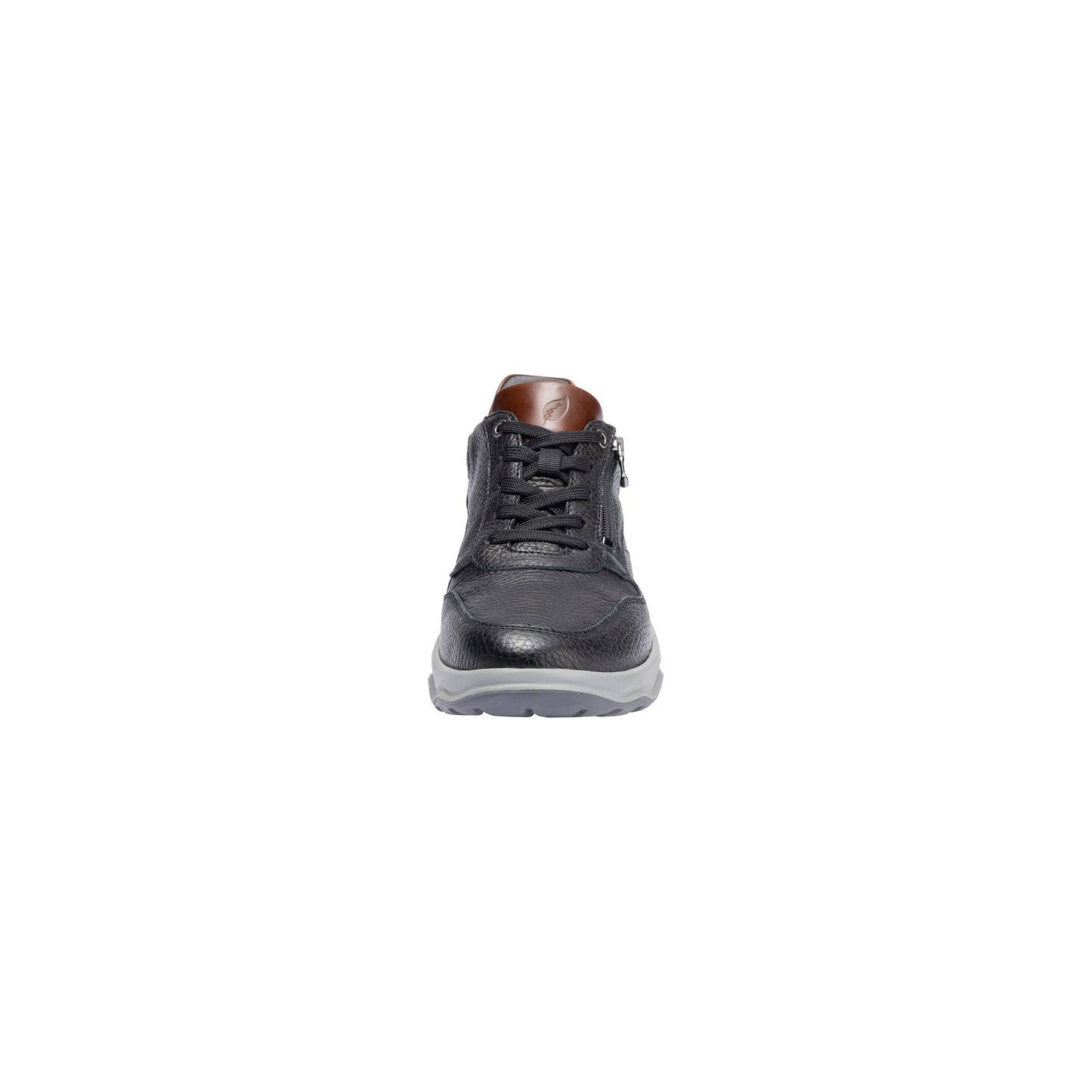 Max - 3xHirsch 2xRiva schwarz cognac / H